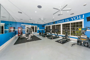 Enclave-at-Copperfield 48